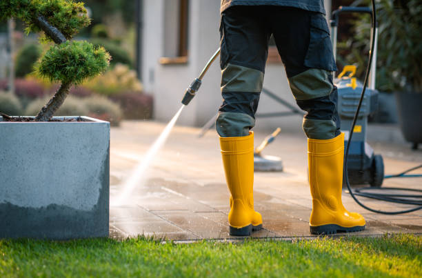 Best Best Pressure Washing Companies  in Roseburg Nth, OR
